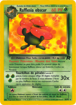 Rafflesia obscur